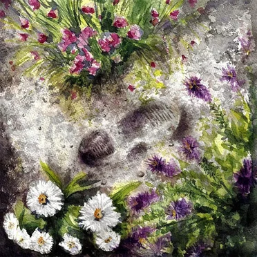 A Garden Everywhere You Go by Birdspotter - album cover