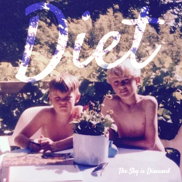 The Sky is Diseased by DIET - album cover