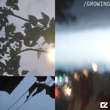 growing
