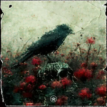 Misfortune by Sink With Me - album cover
