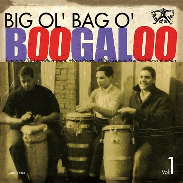 Big Ol' Bag O' Boogaloo, Vol. 1 by Various Artists - album cover