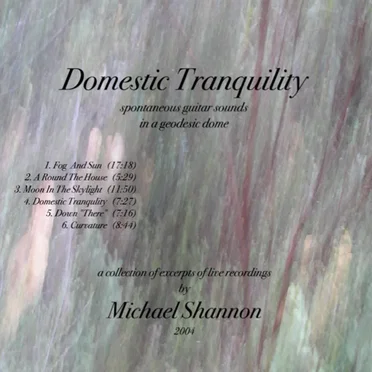 Domestic Tranquility by Michael Shannon - album cover