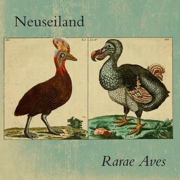 Rarae Aves by Neuseiland - album cover