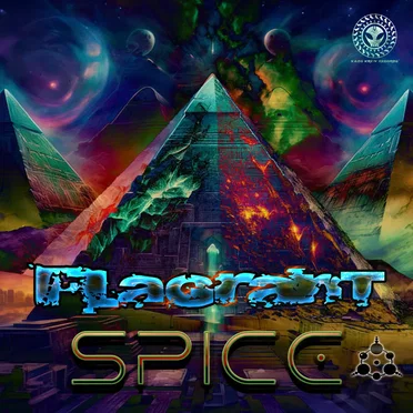 Spice by Mega - album cover