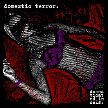 domestic terror