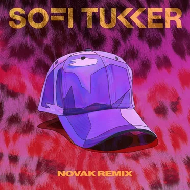 Purple Hat (Novak remix)
