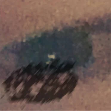 Sonder/Can I Stand by No Curfew Kids - album cover
