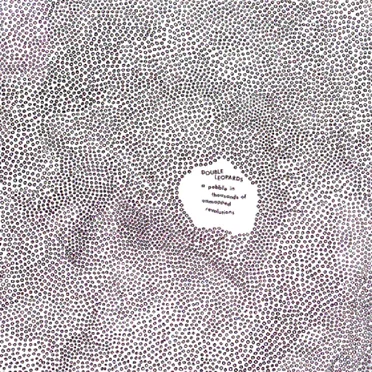 A Pebble in Thousands of Unmapped Revolutions