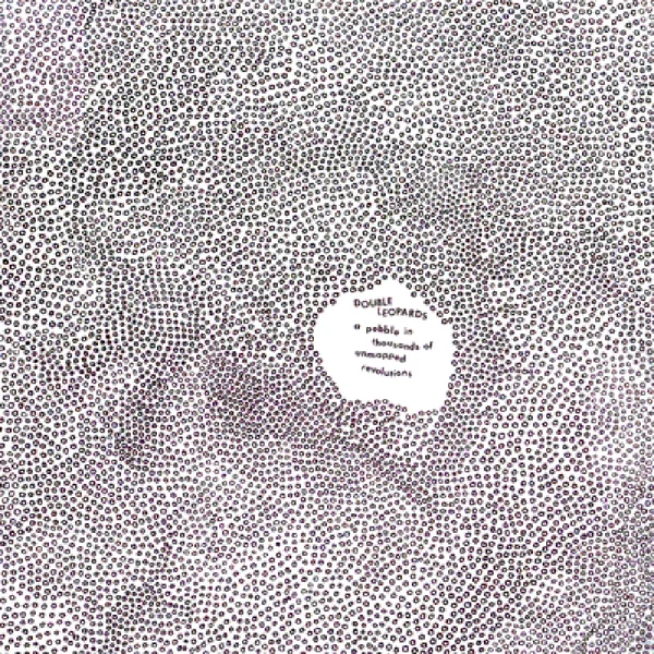 A Pebble in Thousands of Unmapped Revolutions