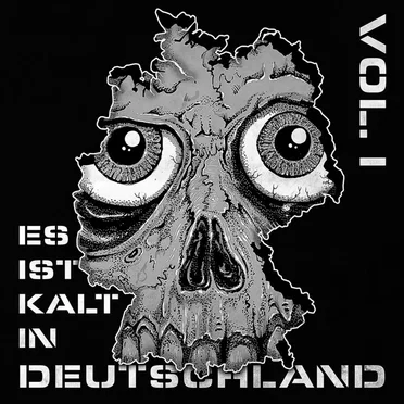 Es ist kalt in Deutschland by Various Artists - album cover
