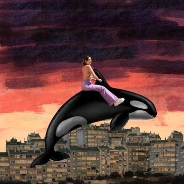 Paisagem Trânsito by Orca - album cover