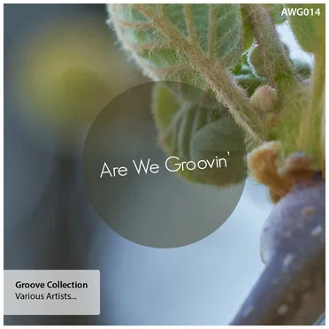 Groove Collection by Various Artists - album cover