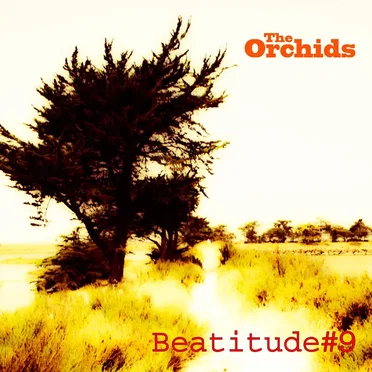 Beatitude #9 by The Orchids - album cover