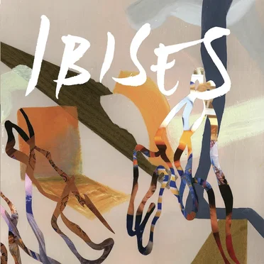 In the Swim by Ibises - album cover