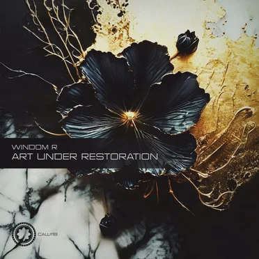 Art Under Restoration by Windom R - album cover