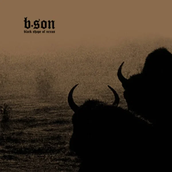 Black Shape of Nexus