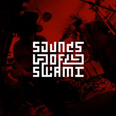 Sounds of Swami LP by Sounds of Swami - album cover