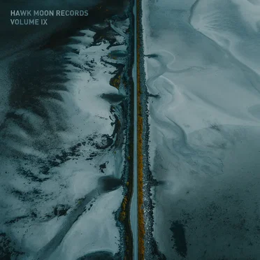Hawk Moon Records: Volume IX by Various Artists - album cover