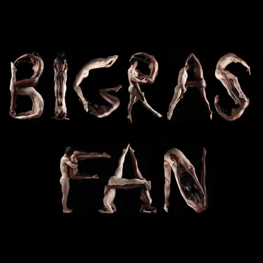 FAN by Dan Bigras - album cover