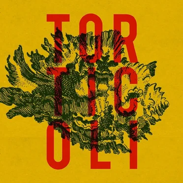 Torticoli by Torticoli - album cover