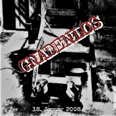 Gnadenlos @ W44 Lounge Bautzen by Various Artists - album cover