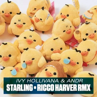 Starling (Ricco Harver remix)