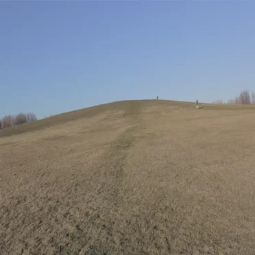 fields
