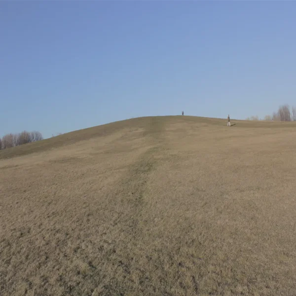 fields