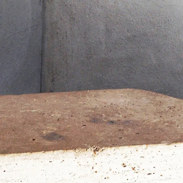 Where Are We Going, Today