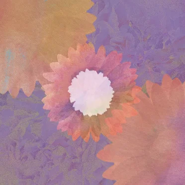 The Eternal Flowers