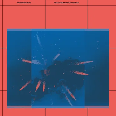 Risks Issues Opportunities by Various Artists - album cover