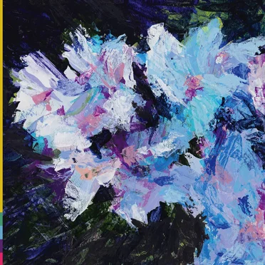 Bloom at Night by Sunstroke - album cover