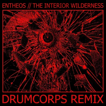The Interior Wilderness (Drumcorps remix)