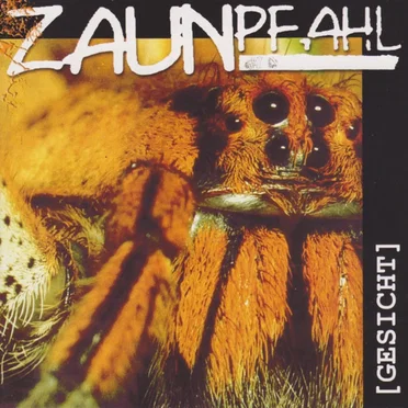 Gesicht