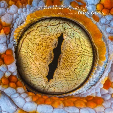 In the Blink of an Eye by Various Artists - album cover