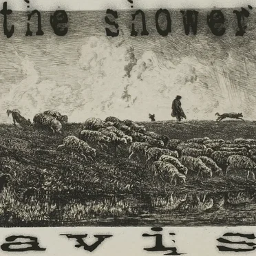 The Shower by Avis - album cover