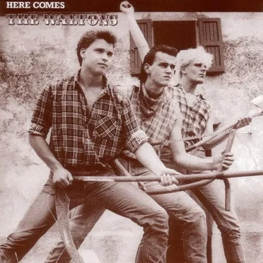 Here Comes The Waltons