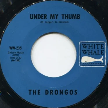 The Drongos