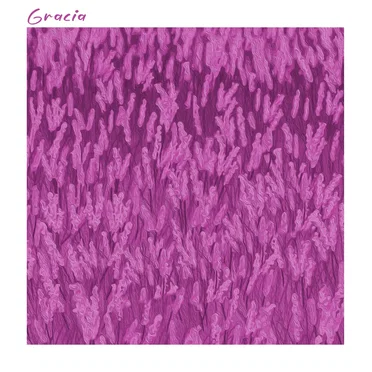 Gracia by En Paz Me Acostaré - album cover