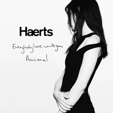 Everybody Here Wants You by Haerts - album cover