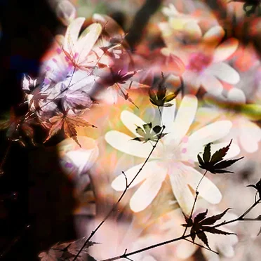 The Dance of Affinity
