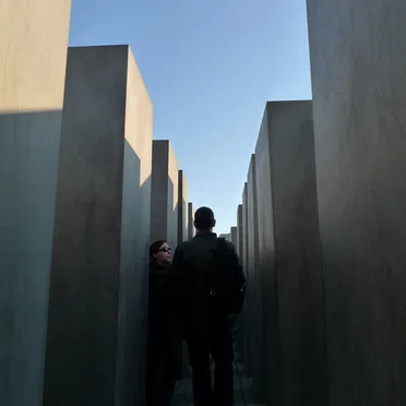 Introspecció