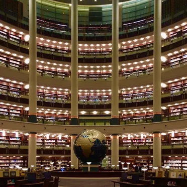 Past Imperfect / Future Tense