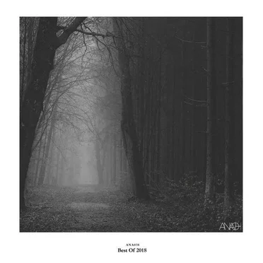 ANAØH Best of 2018 by Various Artists - album cover
