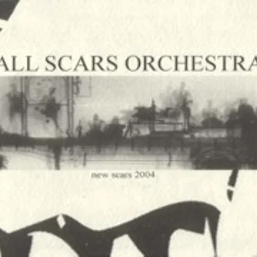 New Scars 2004