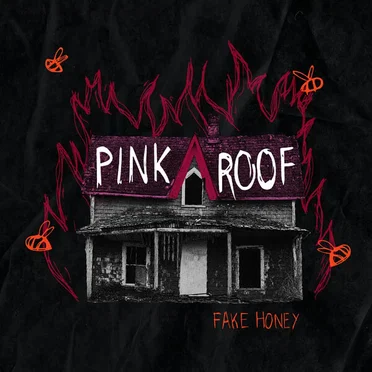 Pink Roof by Fake Honey - album cover