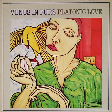 Venus in Furs