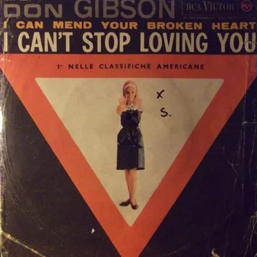 I Can Mend Your Broken Heart