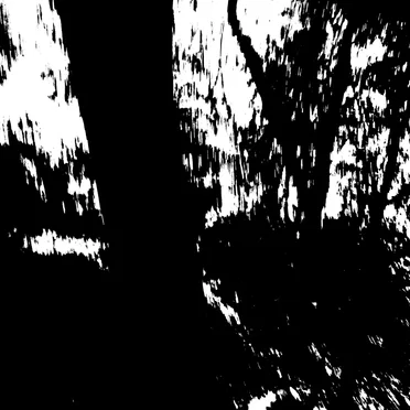 The Night and Its Silence