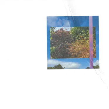 Dirt Boy Web by ice Likely - album cover